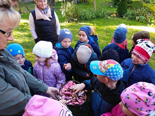 Grafika #16: Wyjście do pasieki cz. III