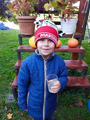 Grafika #17: Wyjście do pasieki cz. III