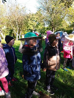 Grafika #18: Wyjście do pasieki cz. III