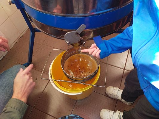 Grafika #19: Wyjście do pasieki cz. III