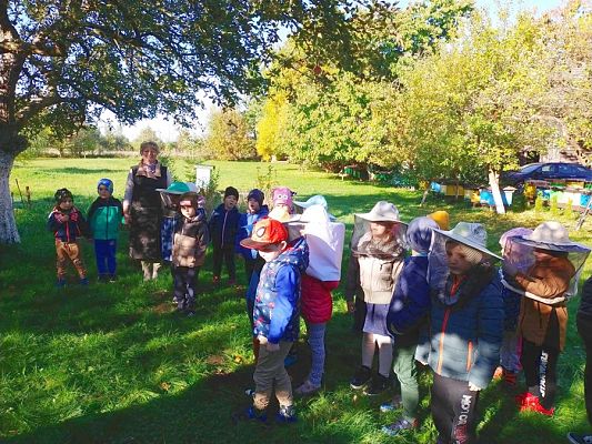 Grafika #24: Wyjście do pasieki cz. III