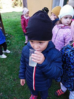 Grafika #25: Wyjście do pasieki cz. III