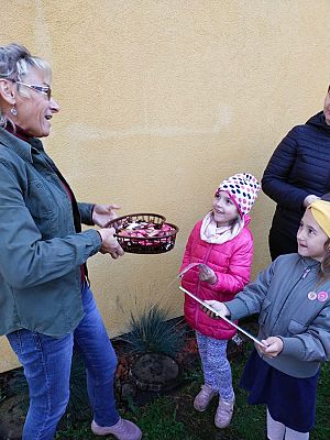 Grafika #26: Wyjście do pasieki cz. III