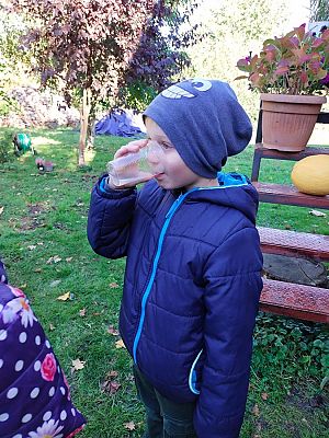 Grafika #27: Wyjście do pasieki cz. III