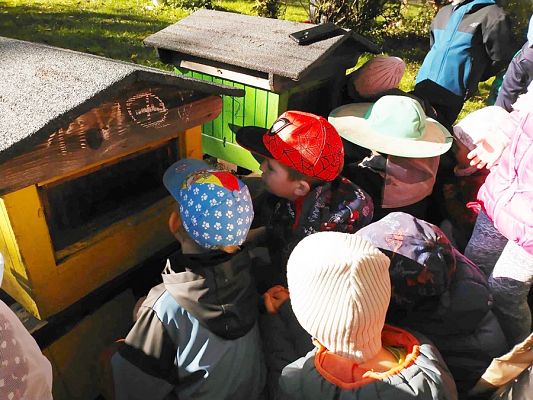 Grafika #28: Wyjście do pasieki cz. III