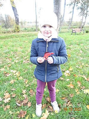 Grafika #5: Wycieczka na Bagno Shreka cz. II