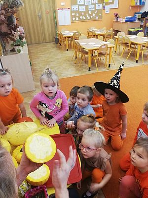 Grafika #17: Dzień Dyni grupa I Motylki