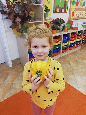 Grafika #0: Dzień Dyni grupa I Motylki