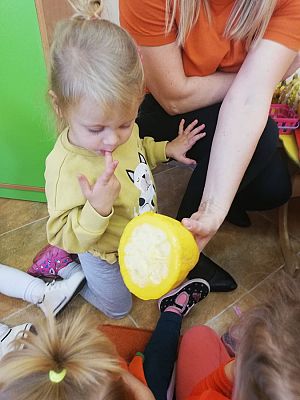 Grafika #11: Dzień Dyni Motylki gr. I cd.