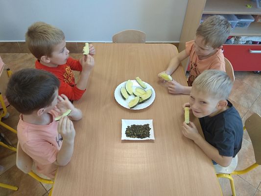 Grafika #2: Dzień Dyni gr. III Sowy