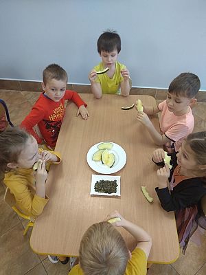 Grafika #1: Dzień Dyni gr. III Sowy