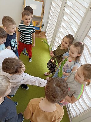 Grafika #2: Dzień Kobiet gr. III Sowy