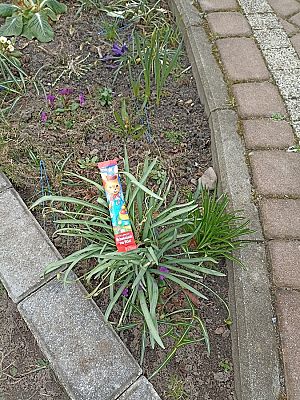 Grafika #5: Śniadanie Wielkanocne