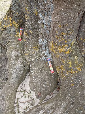 Grafika #6: Śniadanie Wielkanocne