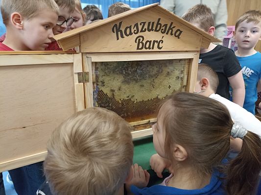 Grafika #19: Kaszubska Barć u przedszkolaków cz. II