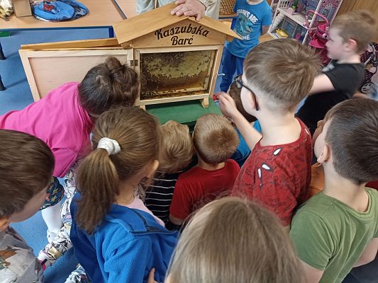 Grafika #20: Kaszubska Barć u przedszkolaków cz. II