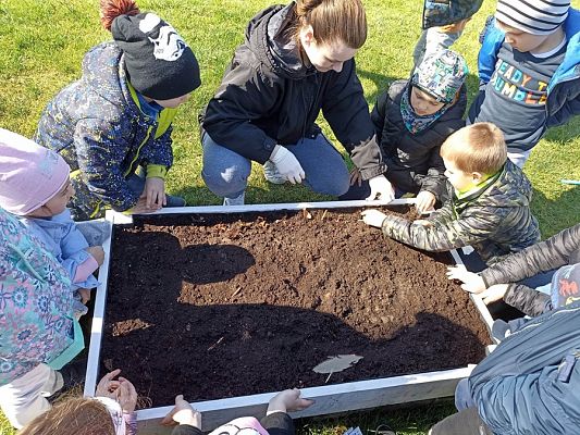 Grafika #6: Dzień Ziemi