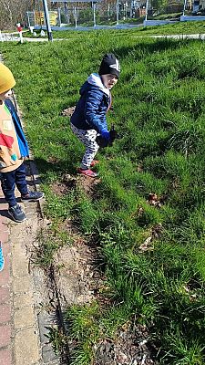 Grafika #9: Dzień Ziemi