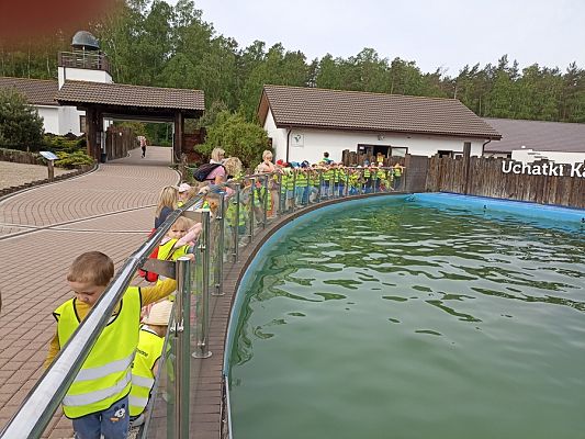 Grafika #0: Wycieczka do Sea Parku w Sarbsku cz. I