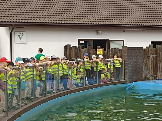 Grafika #1: Wycieczka do Sea Parku w Sarbsku cz. I