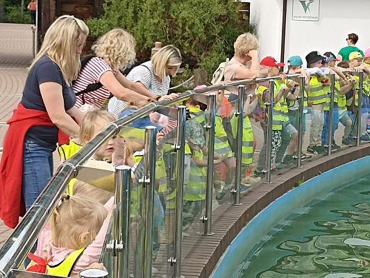 Grafika #2: Wycieczka do Sea Parku w Sarbsku cz. I