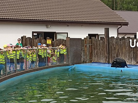 Grafika #3: Wycieczka do Sea Parku w Sarbsku cz. I