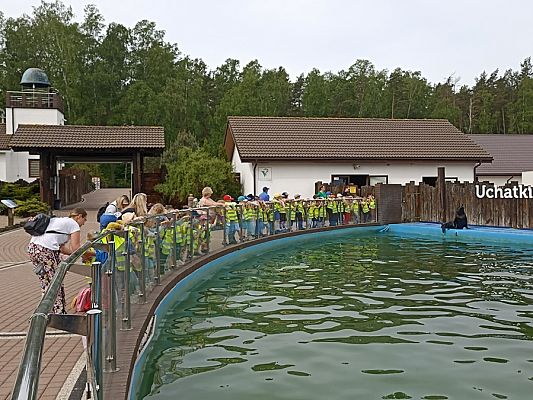 Grafika #4: Wycieczka do Sea Parku w Sarbsku cz. I