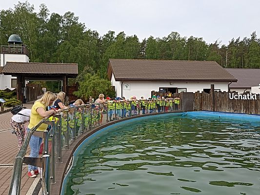 Grafika #5: Wycieczka do Sea Parku w Sarbsku cz. I