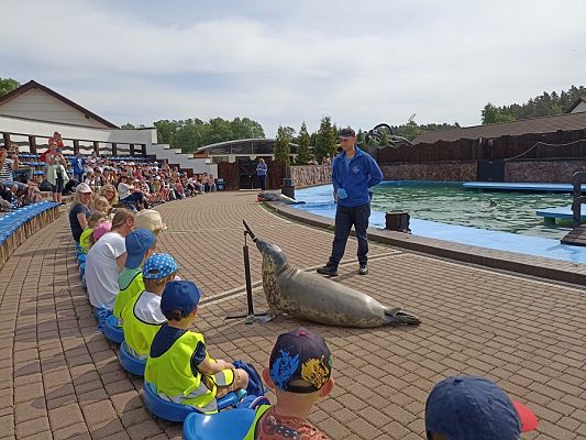 Grafika #4: Wycieczka do Sea Parku w Sarbsku cz. II