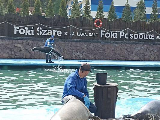 Grafika #5: Wycieczka do Sea Parku w Sarbsku cz. II