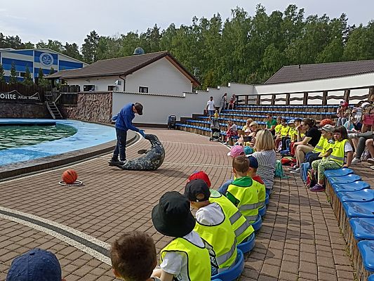 Grafika #6: Wycieczka do Sea Parku w Sarbsku cz. II
