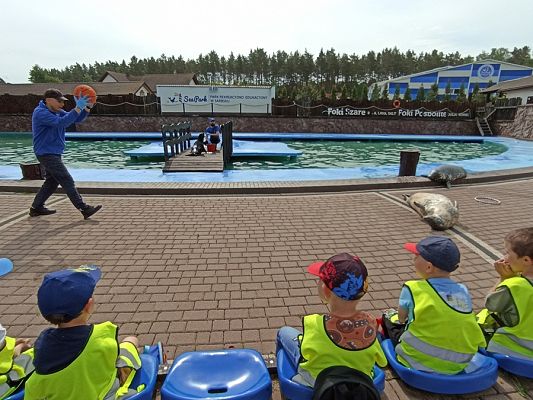 Grafika #7: Wycieczka do Sea Parku w Sarbsku cz. II