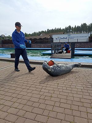 Grafika #9: Wycieczka do Sea Parku w Sarbsku cz. II