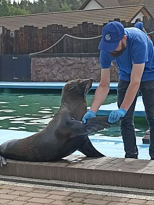 Grafika #10: Wycieczka do Sea Parku w Sarbsku cz. II