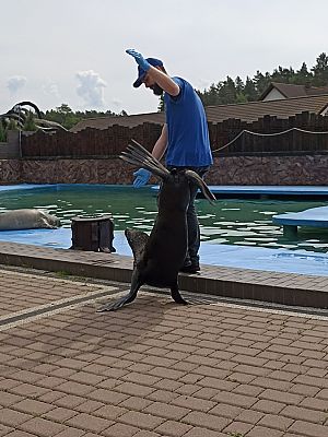 Grafika #11: Wycieczka do Sea Parku w Sarbsku cz. II