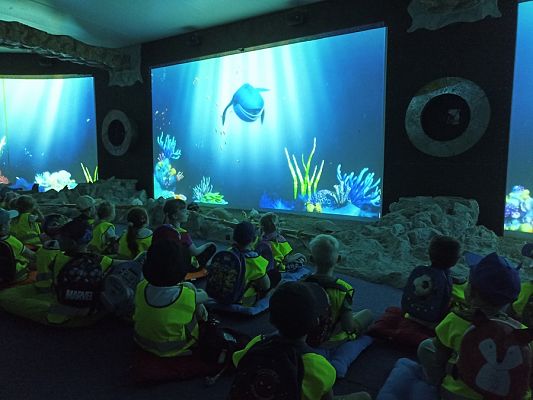 Grafika #15: Wycieczka do Sea Parku w Sarbsku cz. II