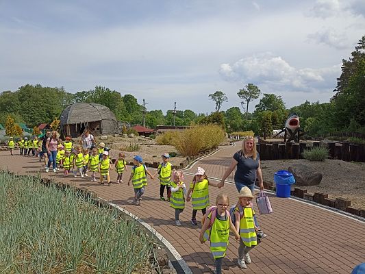 Grafika #16: Wycieczka do Sea Parku w Sarbsku cz. II