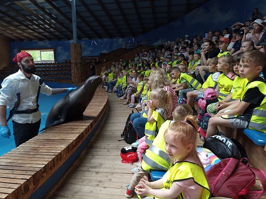 Grafika #5: Wycieczka do Sea Parku w Sarbsku cz. III