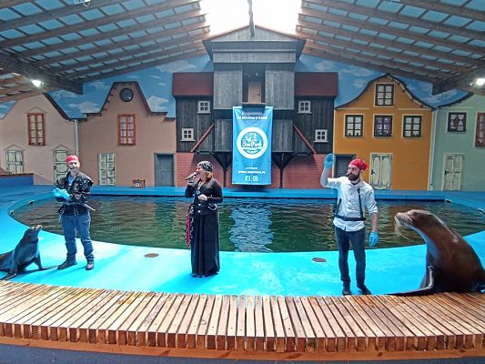 Grafika #7: Wycieczka do Sea Parku w Sarbsku cz. III