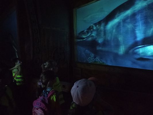 Grafika #12: Wycieczka do Sea Parku w Sarbsku cz. III