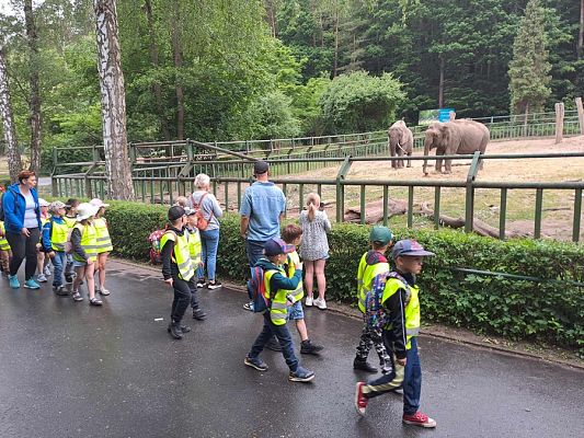 Grafika #0: Wycieczka do ZOO w Gdańsku cz. I