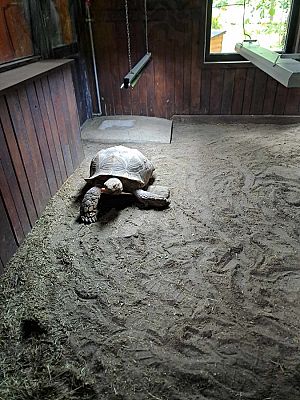 Grafika #4: Wycieczka do ZOO w Gdańsku cz. I