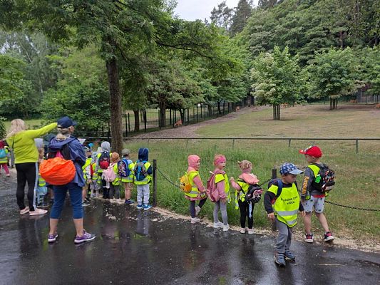 Grafika #6: Wycieczka do ZOO w Gdańsku cz. I