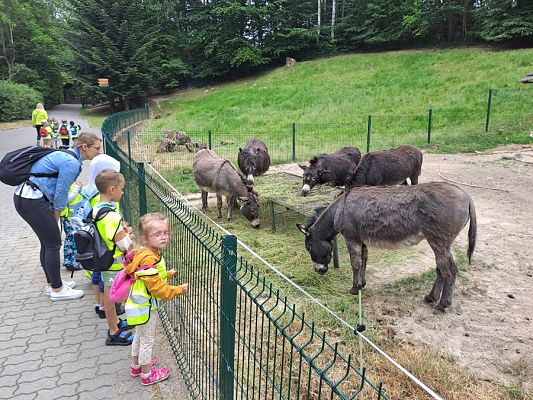 Grafika #8: Wycieczka do ZOO w Gdańsku cz. I