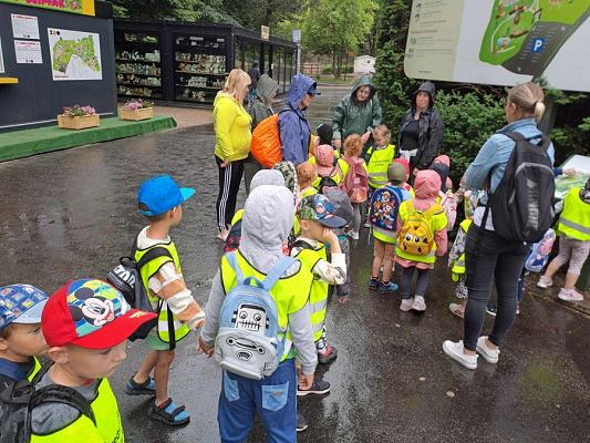 Grafika #9: Wycieczka do ZOO w Gdańsku cz. I