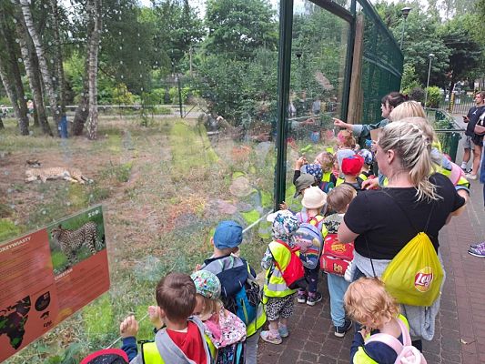 Grafika #11: Wycieczka do ZOO w Gdańsku cz. I