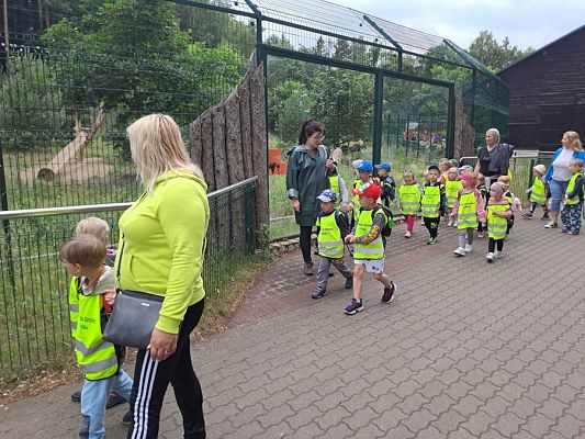 Grafika #13: Wycieczka do ZOO w Gdańsku cz. I