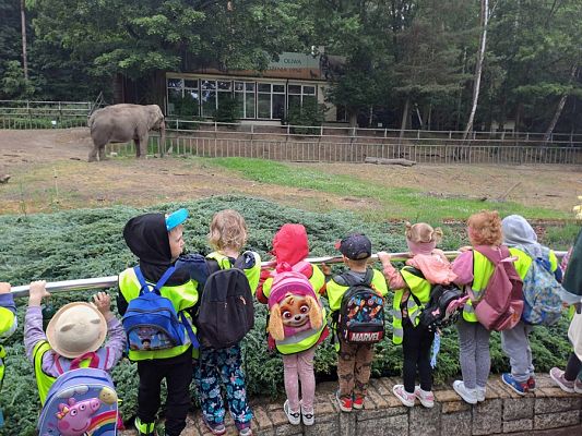 Grafika #16: Wycieczka do ZOO w Gdańsku cz. I