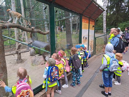 Grafika #17: Wycieczka do ZOO w Gdańsku cz. I