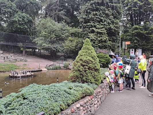 Grafika #0: Wycieczka do ZOO w Gdańsku cz. II